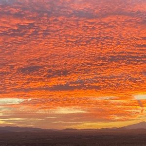 Meet your Posher, Brice